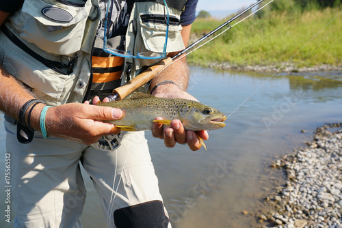 Fly fisherman holding brown trout in river