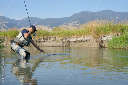 Fly-fisherman catching brown trout in North American river