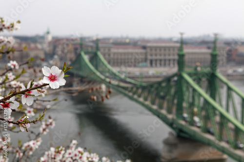 Liberty Bridge, Budapest - Hungary © Wit.Siri