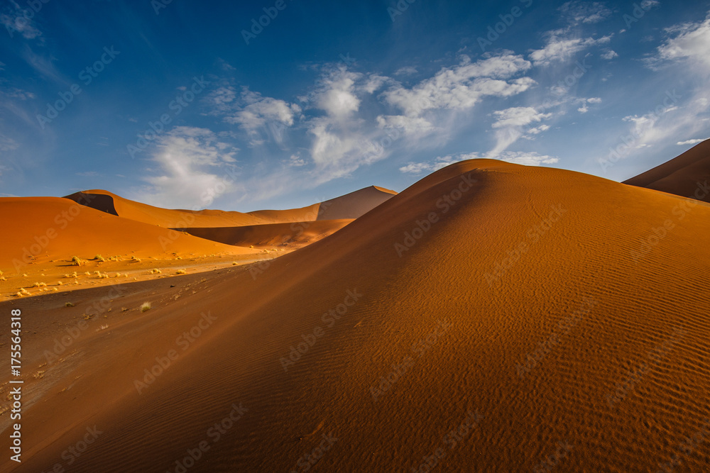 Contrasting Dune in the Afternoon Sun. Namibia Desert, Namibia Contrasting Dune in the Afternoon Sun. Namibia Desert, Namibia