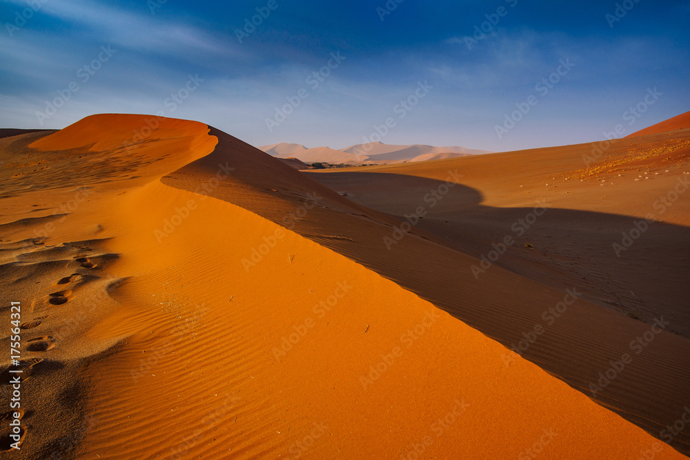 Contrasting Dune in the Afternoon Sun. Namibia Desert, Namibia