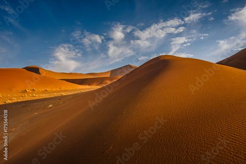 Contrasting Dune in the Afternoon Sun. Namibia Desert, Namibia