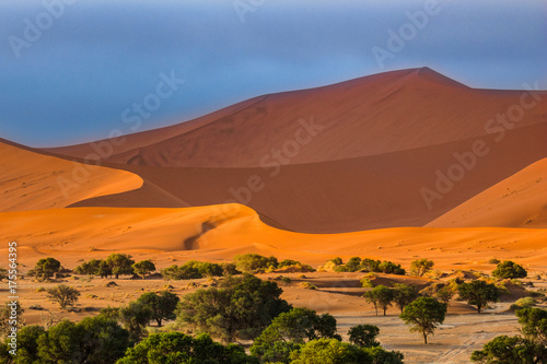 Contrasting Dune in the Afternoon Sun. Namibia Desert, Namibia