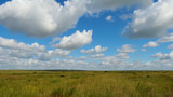 Green field summer landscape, timelapse. Clouds and blue sky field