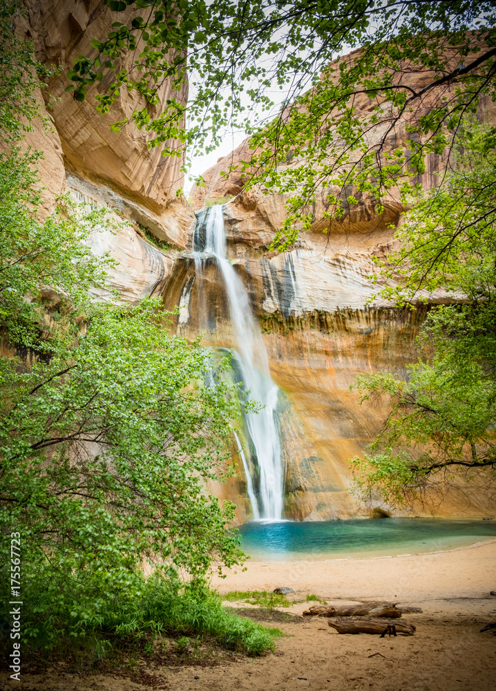 Oasis in the desert