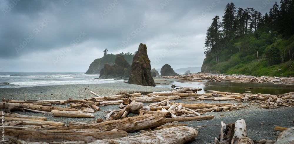 Ruby beach