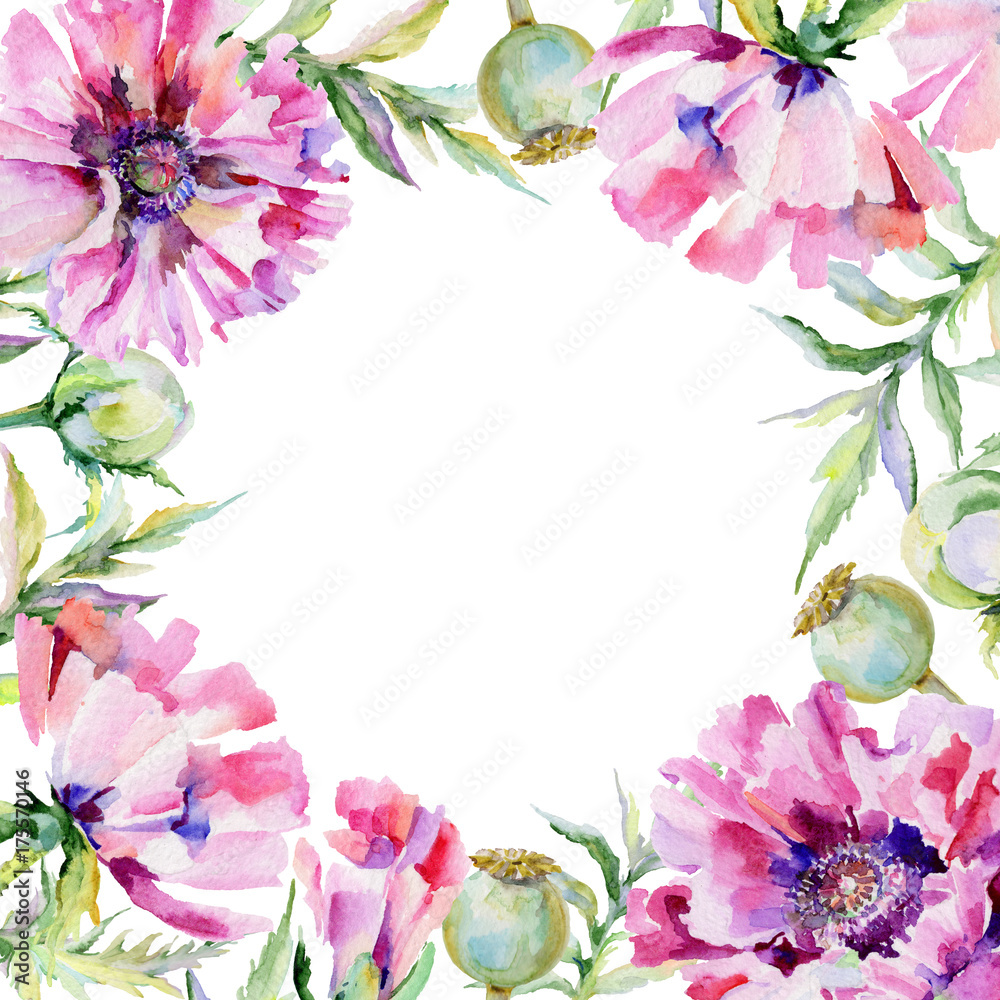 Wildflower poppy flower frame in a watercolor style. Full name of the plant: pink poppy. Aquarelle wild flower for background, texture, wrapper pattern, frame or border.