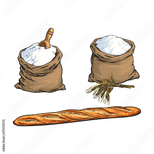 vector sketch cartoon flour or sugar burlap bag or sack with wooden scoop, baguette bread loaf, wheat ears set. Isolated illustration on a white background. Bakery menu, logo brand design element