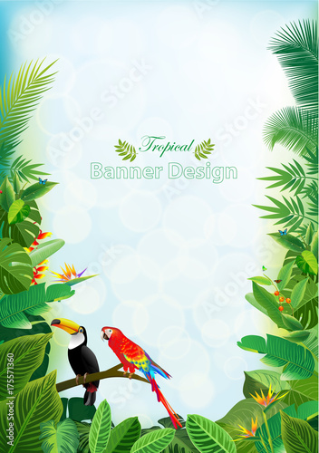 Photos Tropical island circlet of beautiful plants