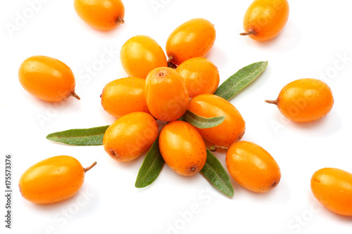 Sea buckthorn with green leaf isolated on white background