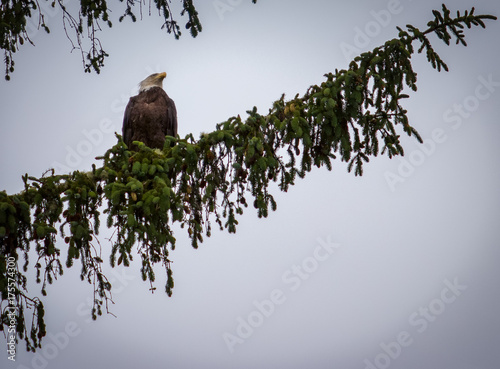 Perched atop 