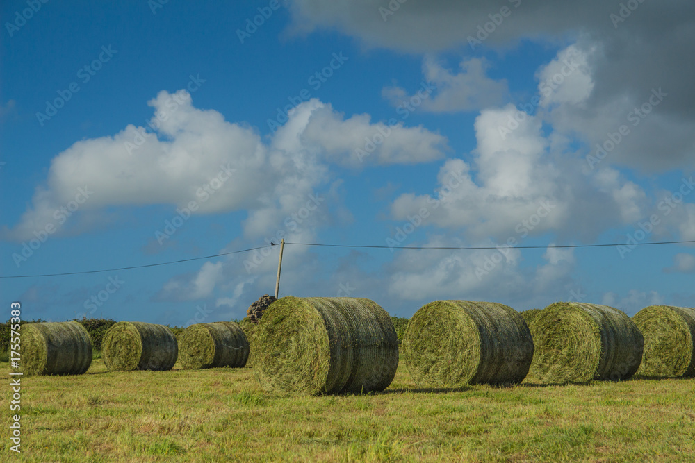 Grass balls