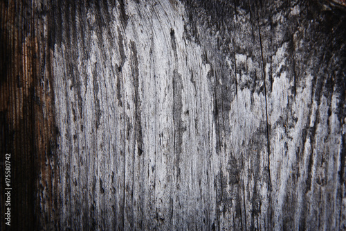 Wooden gray background texture