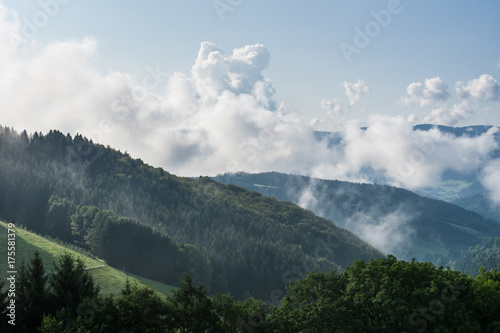 Autumn morning above the black forest germany with waft of mist