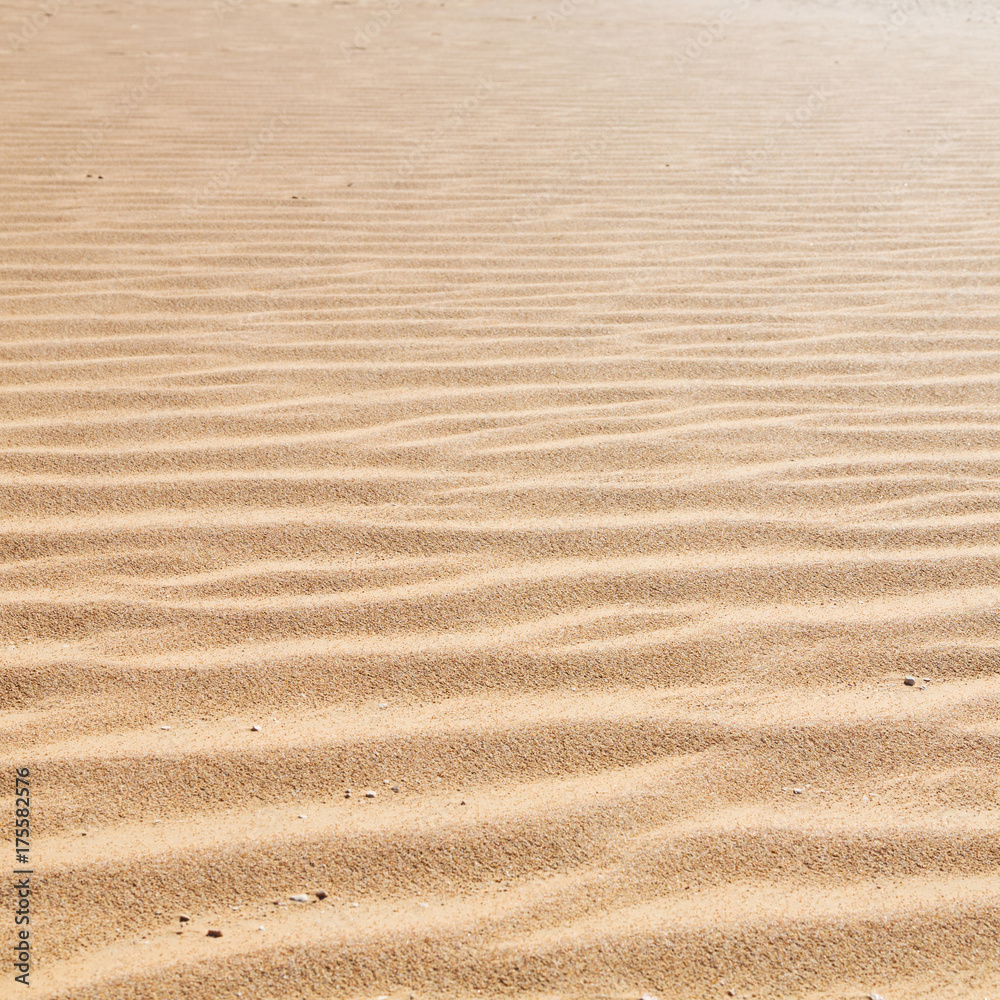 in oman the old desert and the empty quarter abstract texture line wave in oman the old desert and the empty quarter abstract texture line wave