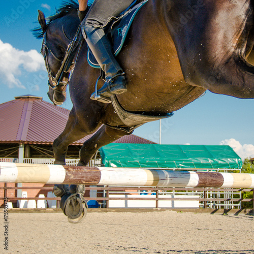 A horse is jumping over the barrier
