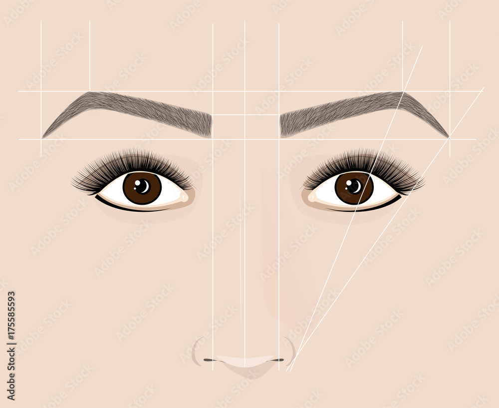 Classical shape of eyebrows. Microblaining and permanent make-up. The scheme of the correct construction.