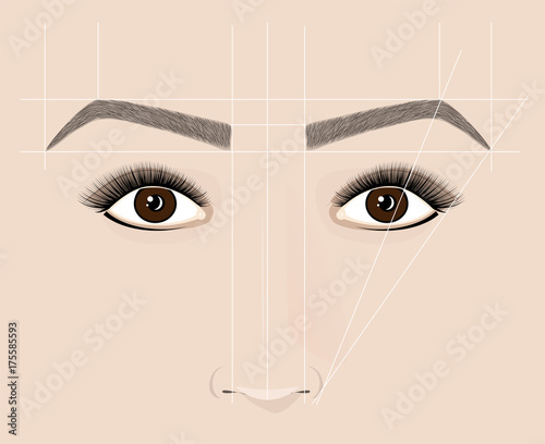 Classical shape of eyebrows. Microblaining and permanent make-up. The scheme of the correct construction.