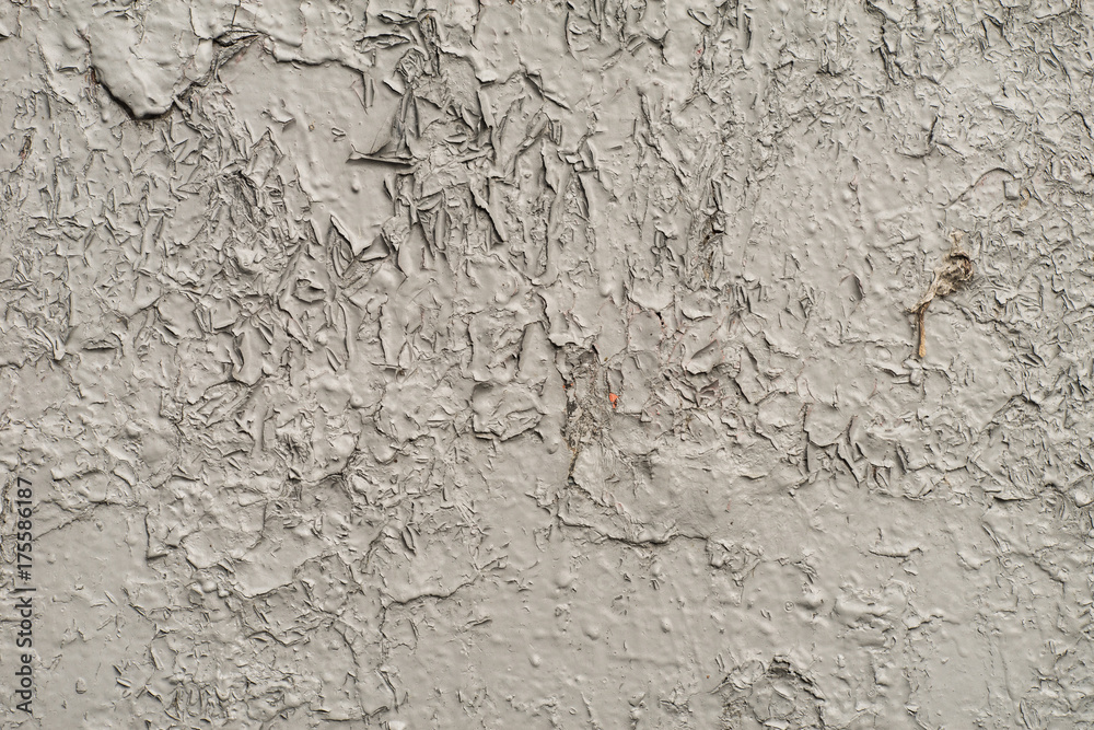 Fototapeta premium White-gray surface of a wall with cracked paint, plaster, close-up
