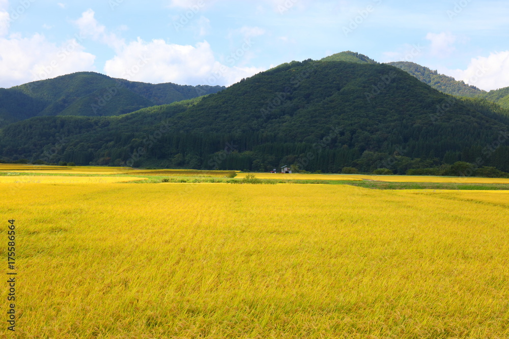 秋田県の美しい田園風景