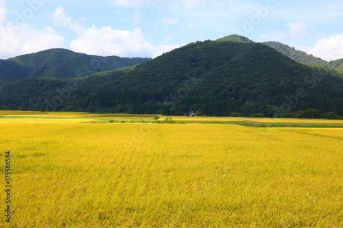 秋田県の美しい田園風景