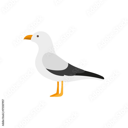 Side view portrait of seagull, albatross, flat style cartoon vector illustration isolated on white background. Simple flat style cartoon vector illustration of standing seagull