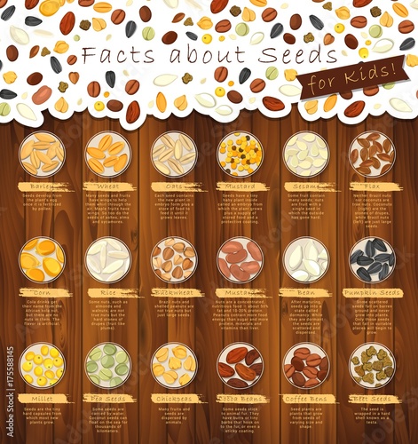 Seeds of seasonings on plates