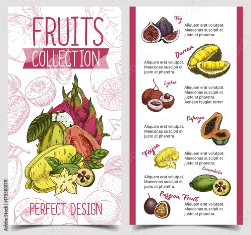 Banner with tropical and exotic summer fruits