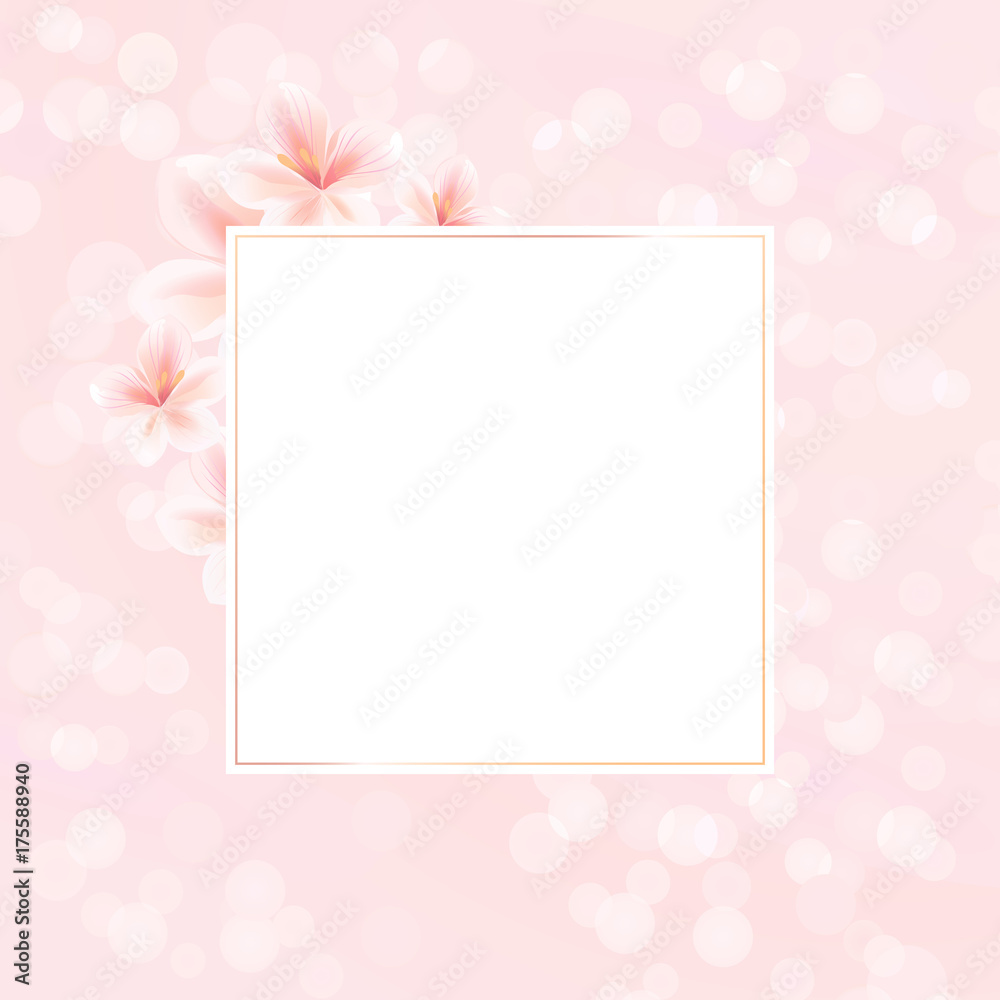 Flowers frame. White Pink Sakura Flowers frame isolated on pink bokeh background. Vector