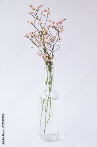 Flower in the vase