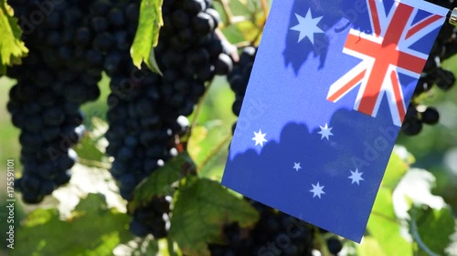 Australischer wein Australsk vin Australia australien wine Australian Vino 澳洲葡萄酒 video australiano Australiskt  Австралийское вино  photo