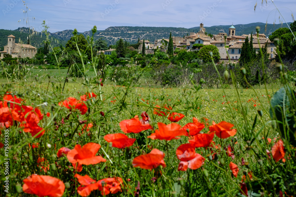 Vue sur le village de Lourmarin en Provence, France. Champ de blé et des coquelicots au premier plan.