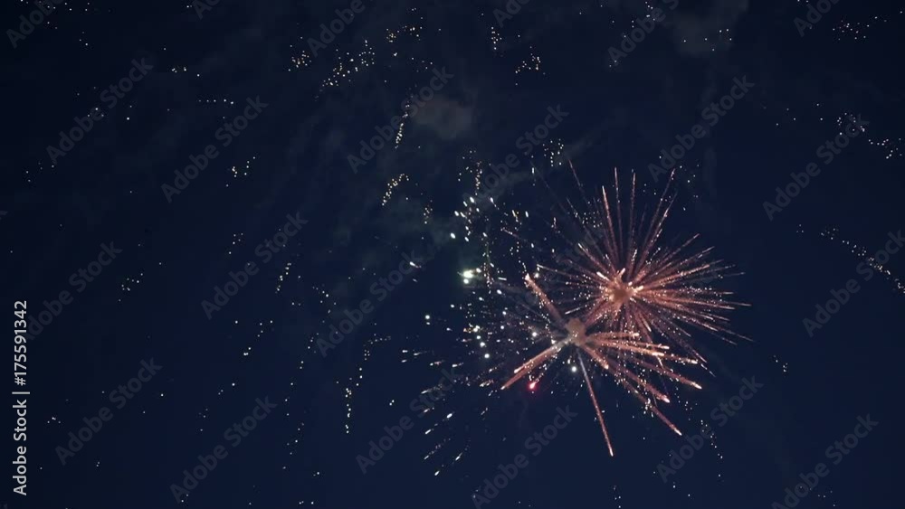 Colourful firework at night sky