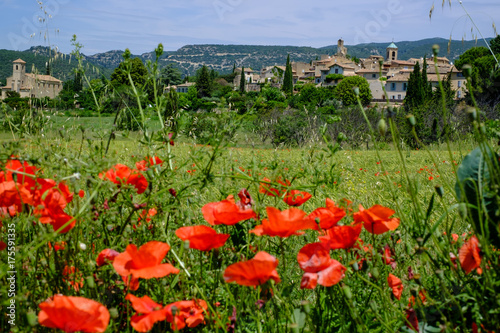 Obraz na płótnie Vue sur le village de Lourmarin en Provence, France. Champ de blé et des coquelicots au premier plan. w salonie