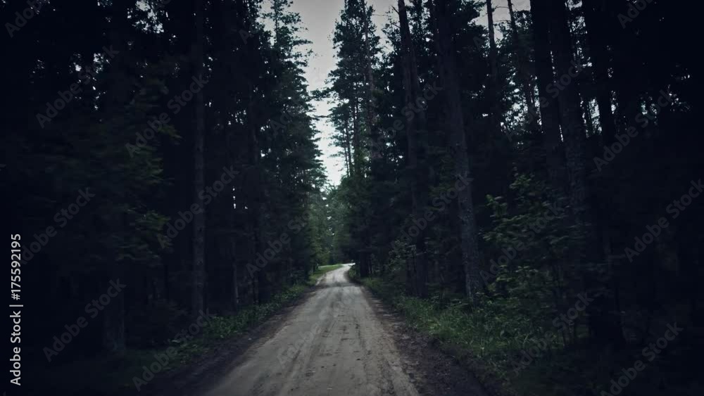 4K Halloween Horror Driving in Dark Forest 4K Halloween Horror Driving in Dark Forest