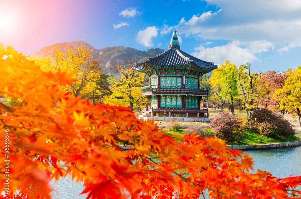 Autumn at Gyeongbokgung Palace,Seoul South Korea.