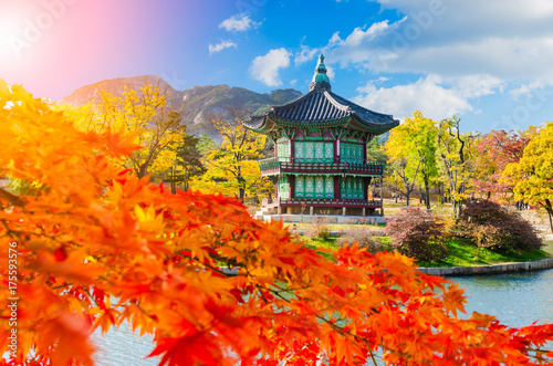 Obraz na płótnie Autumn at Gyeongbokgung Palace,Seoul South Korea. w salonie