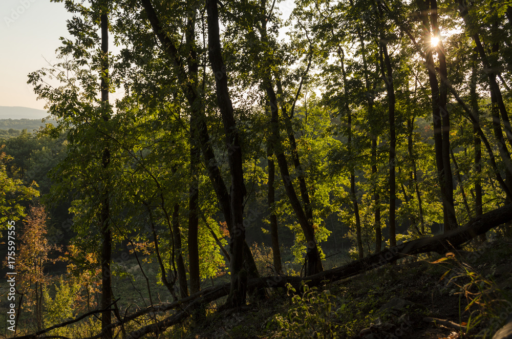 Naklejka premium autumn moment in nature