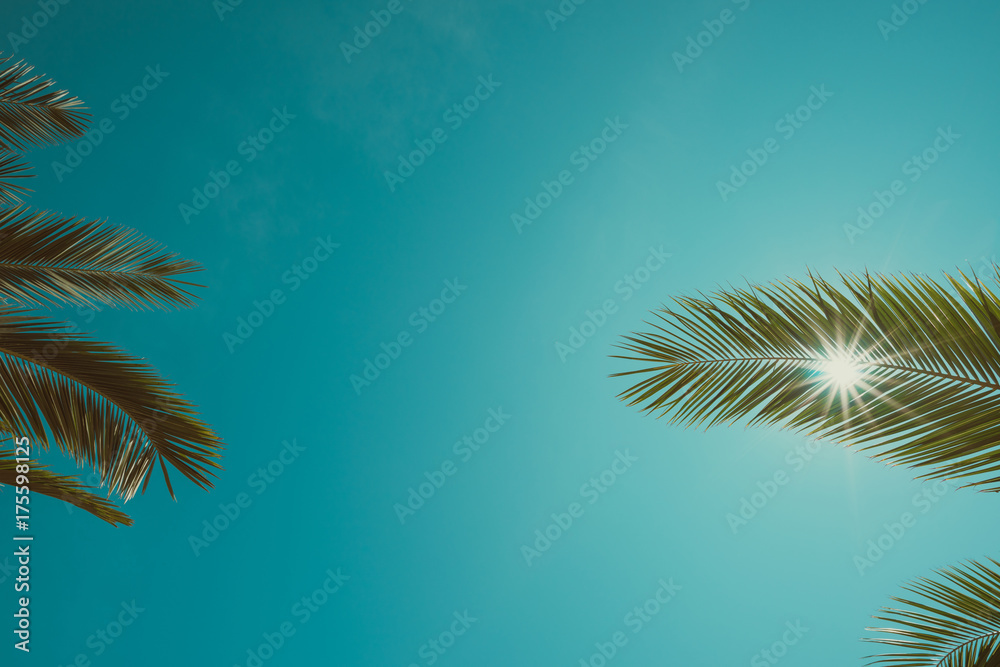Fototapeta premium Vintage color toned palm trees leaves and clean sky with shining sun background