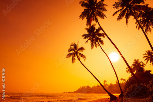 Fototapeta Naklejka Na Ścianę i Meble -  Tropical golden sunset on oceanl beach with palm trees silhouettes and warm shining sun