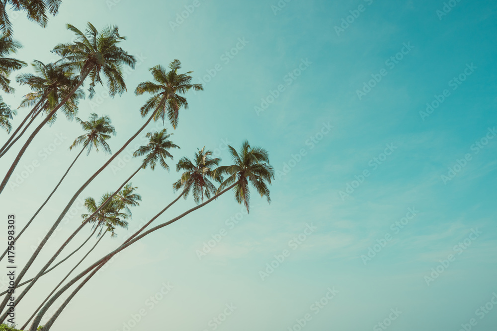 Fototapeta premium Palm trees vintage toned hanging over tropical sea beach with copy space