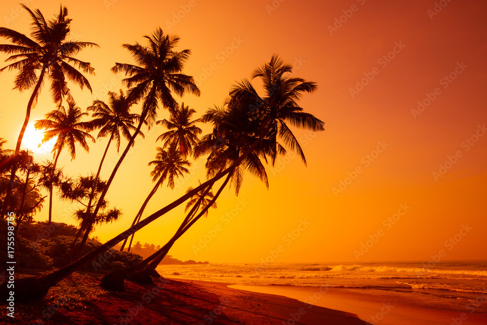 Golden sunset on tropical beach with coconut palm trees silhouettes