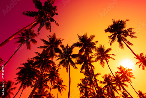 Tropical beach sunset © nevodka.com