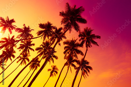 Colorful vivd beach sunset with tropical palms trees silhouettes and shining sun