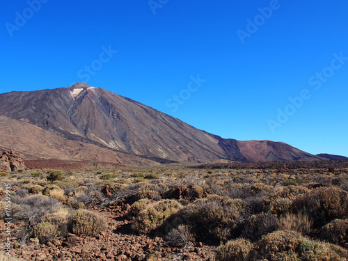volcano and landscape in teide national park tenerife