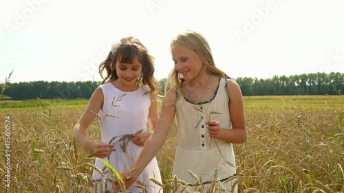 Cute little girls in the wheat harvest field - in touch with nature. Beautiful girls in a white dress go with wheat ears in a hand across the field. Lovely fair-haired girls walk outdoors. Slow motion photo