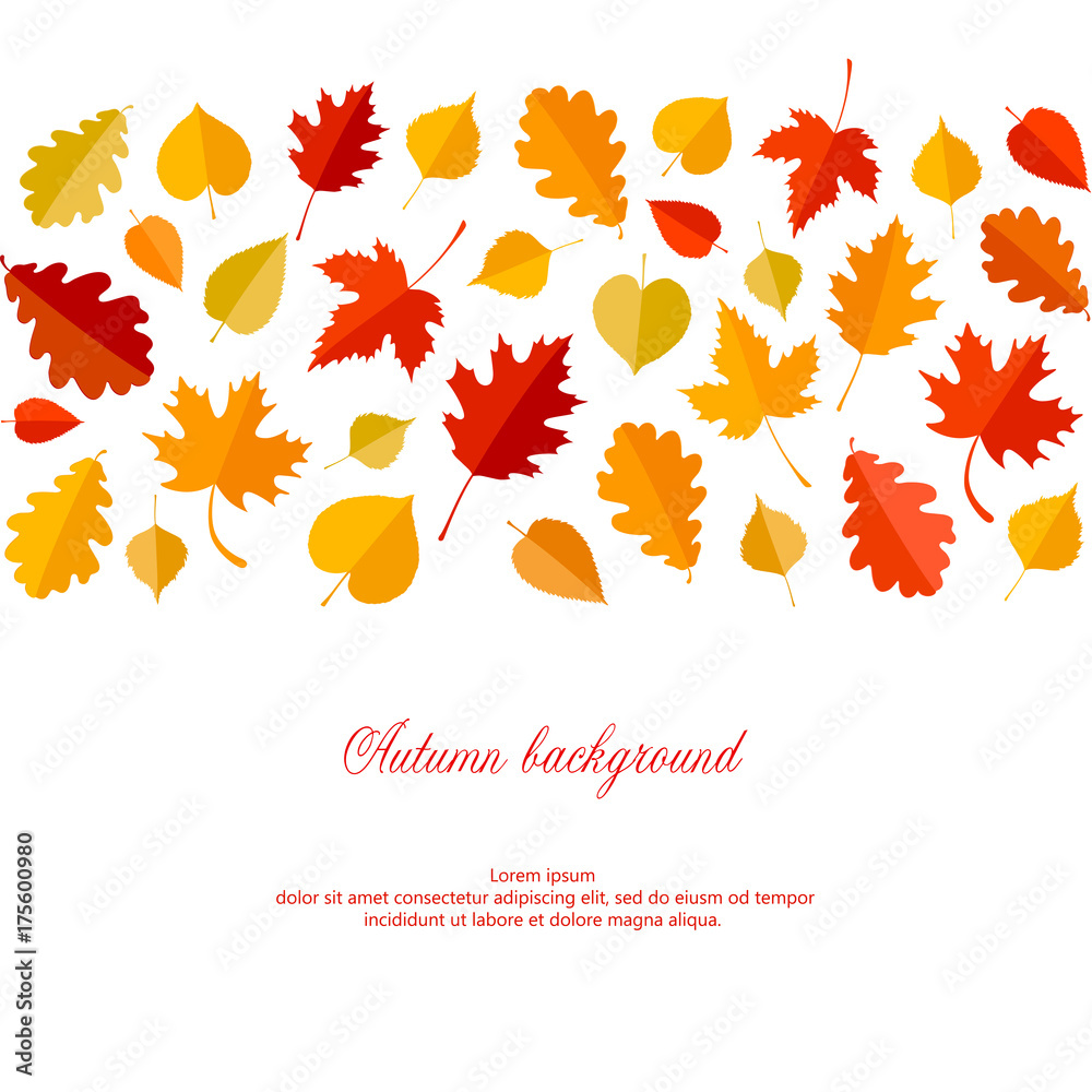Autumn background with leaves.