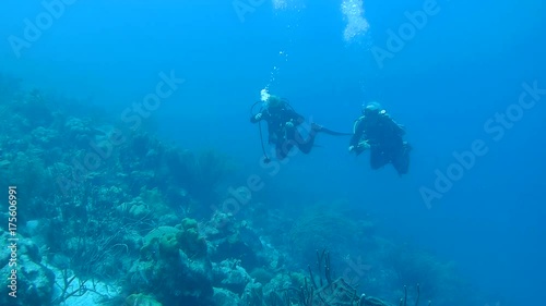 Wallpaper Mural people underwater diving coral life underwater video 1080p Caribbean Sea Torontodigital.ca