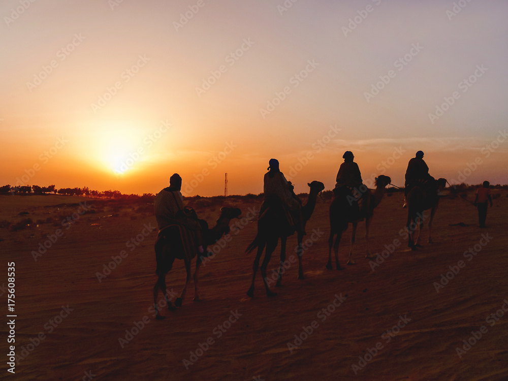 Tourists and bedouins on camels meet sunset in Sahara desert. Tunisia