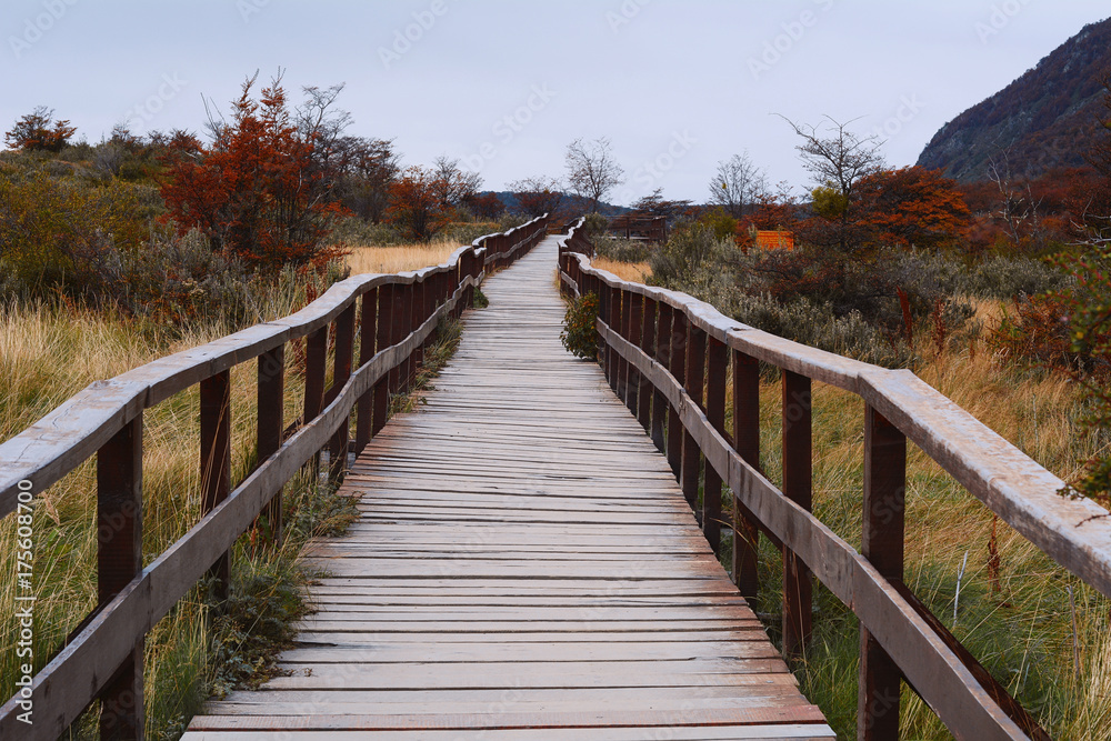 Obraz premium Walkway in National Park, Ushuaia.